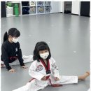 미르태권도장 이미지