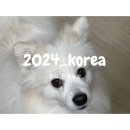 반산우리약국 | 2024 한국일상 D+15~16 계란도둑, 비누공방, 성심당 딸기시루, PT 6회차, 모모 미용, 아이허브 영양제