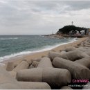 홍게#포차 이미지
