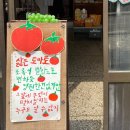 배달킹안춘배 갈마점 | 25.1~25.3 뭐했다고 1분기 다 끝남