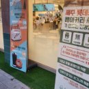 포르피노여섯번째이야기 이미지
