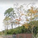 구암동428 이미지