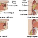 연세베스트요양병원 이미지