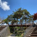 페어필드 바이 메리어트 서울(Fairfield by Marriott-Seoul) 이미지