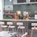 냥이네그릭요거트 이미지