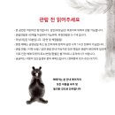 감각놀이체험극 빨간열매 이미지