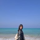 세화비지니스 | '26.2월 제주여행 02. 함덕 베이커리 맛집 브레드브루ㅣ산굼부리ㅣ세화 부이크브루어스