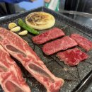 바이소