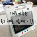 [5세 아이교육] 유아학습지 고민 끝! 6개월째 사용 중인 윙크 솔직 후기 ✏️