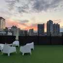 도그시장 이미지