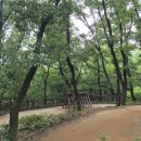 꿩고개 유아숲체험원 이미지