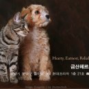 Dr.j 동물병원 이미지