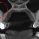 작은나무치과의원 이미지