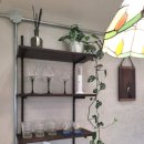 스테이준 이미지