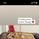 시민로205번길 이미지