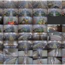 지리산愛 이미지