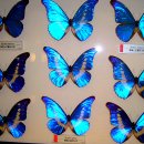 코발트블루 이미지