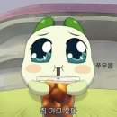 (주)왕왕 | 개강 일주일 후기… (왕왕 소심) 편입생의 학교적응기🤗 (1)
