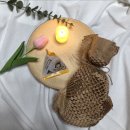 고창 이엠 | 고소한 국내산 땅콩버터 추천해요 (고창이엠 케이올 땅콩버터)