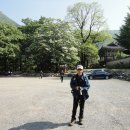 밀양고등학교 이미지