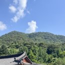 법주사 - 경상북도 군위군 | [충북 보은] 법주사 템플스테이 봉사형 참여 후기