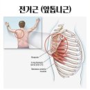 청담동헬스장 짐로드 재활PT 후기