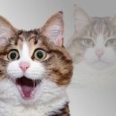 따당PC방 이미지