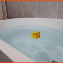 한양고운세신샵 이미지