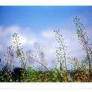 우리목양교회 이미지