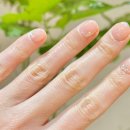 희망로 400번길 이미지