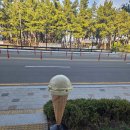 녹쟌니 | 속초 젤라또 맛집 녹쟌니 후기｜이틀 연속 방문한 이유