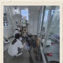 강아지 보호센터 이미지