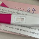 인공 + 자연 | 자연주기 인공수정 1차 시술 후기 (강서 미즈메디) -> 비임신