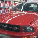 스피드메이트 장안점 이미지