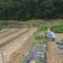 민서농장 이미지