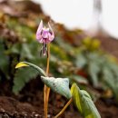 뽀스락뽀스락 이미지