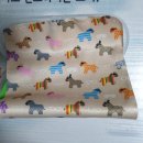 김안경센터 이미지