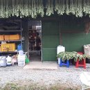 청룡농장 이미지