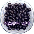 식초콩의 신비, 효능과 만드는 방법 이미지