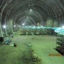 왕림농장 이미지