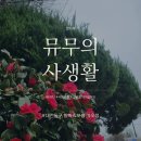 항아리보쌈(가오점) 이미지