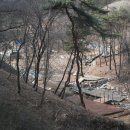 백야리산림욕장 이미지