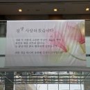 디지털미디어시티역 8번 출구 횡단보도 앞 | W5. 웨딩홀: DMC타워웨딩 펠리체홀 투어 후기- 서울 밝은 웨딩홀 추천, 계약 완료 (26년 하반기 견적 공유)