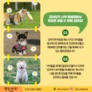 사랑가득한유치원 이미지