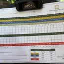 고고골프 | 다낭 골프여행 몽고메리CC 예약 및 라운딩 후기