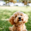 이스턴동물병원 이미지