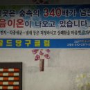 동백 당구클럽 이미지