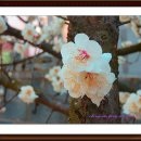 청암공원 이미지