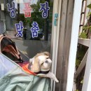 컴포즈커피 부천고강시장점