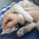 기대농장 이미지